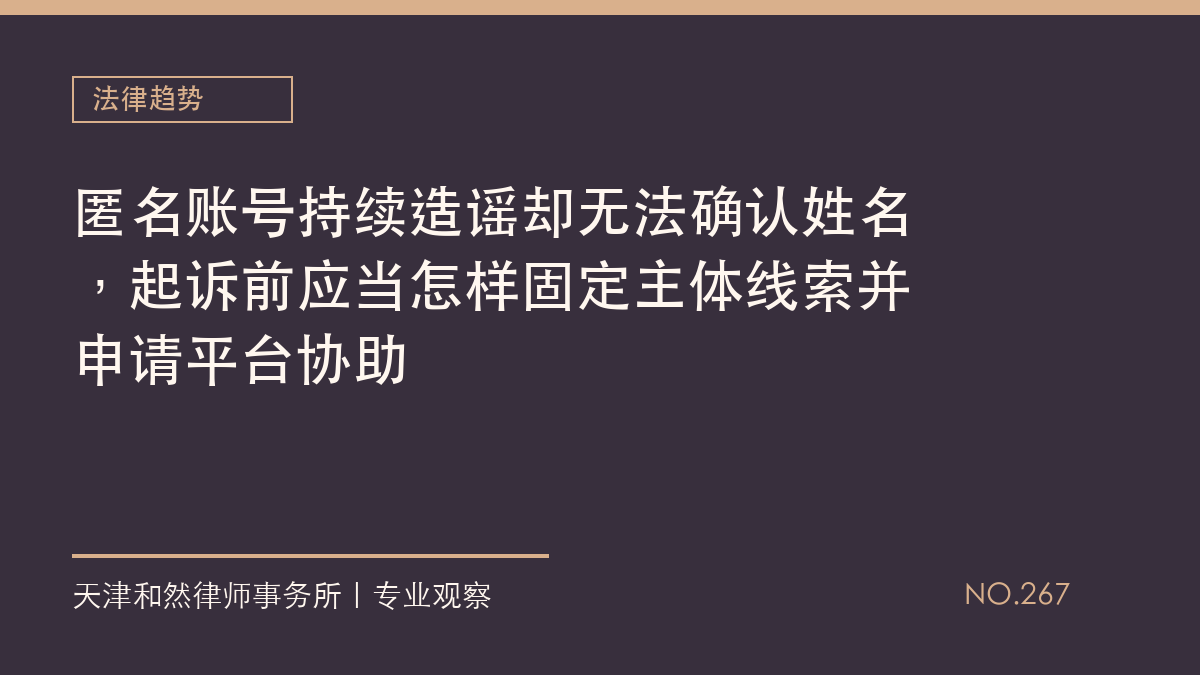 匿名账号持续造谣却无法确认姓名，起诉前应当怎样固定主体线索并申请平台协助